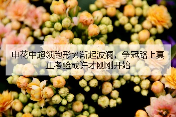 申花中超领跑形势渐起波澜，争冠路上真正考验或许才刚刚开始